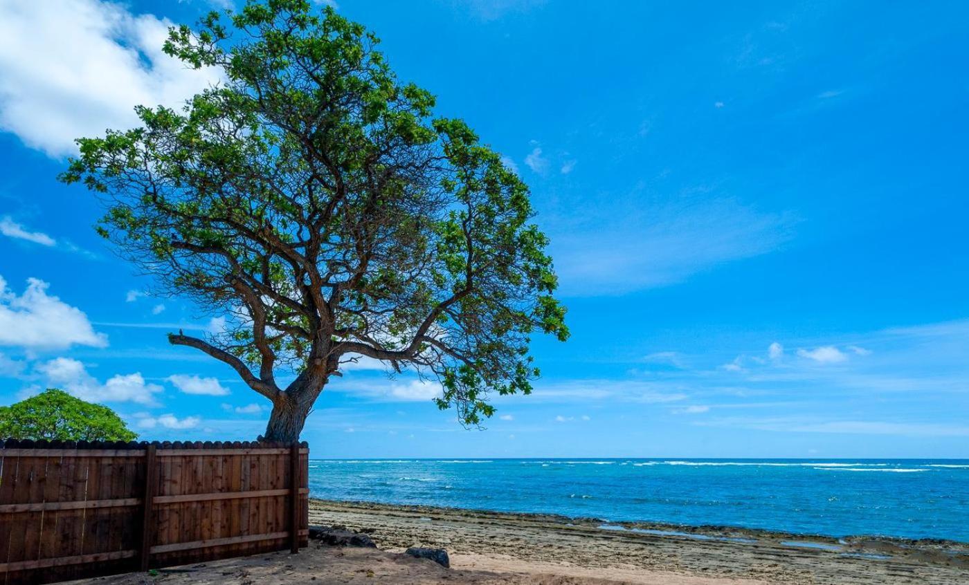 Kauai Kailani 218 Lejlighed Kapa'a Eksteriør billede